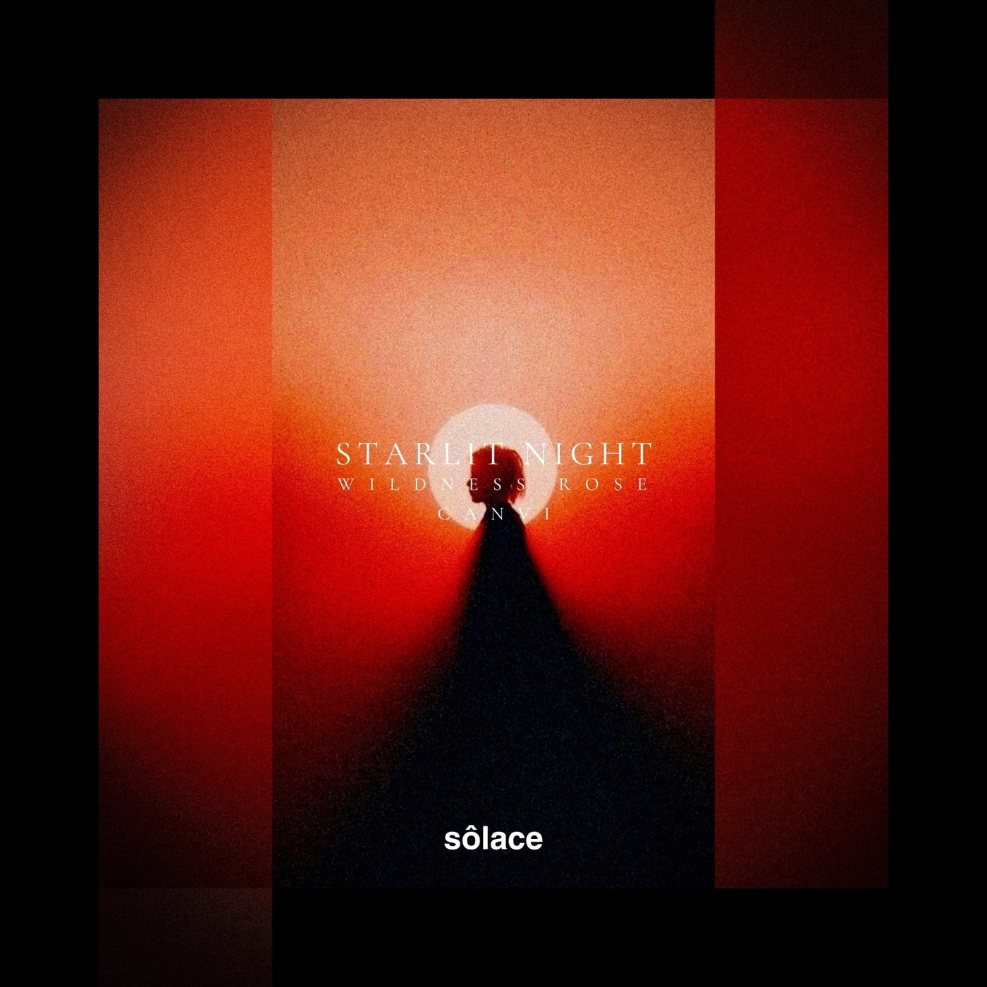 Starlit Night