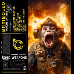 Sonic Weapons Vol.2 Part 2