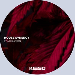 House Synergy