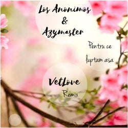 Pentru Ce Luptam Asa VetLove Remix