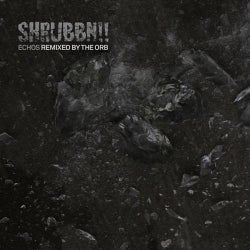 Echos (Remixed By The Orb)