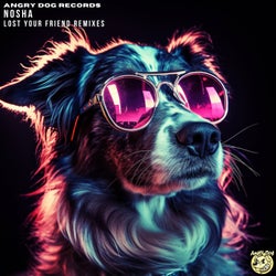 Lost Your Friend Remixes