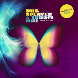 Trance Plane (Tim Bran Remix)