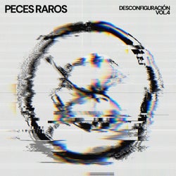 Desconfiguración, Vol. 4