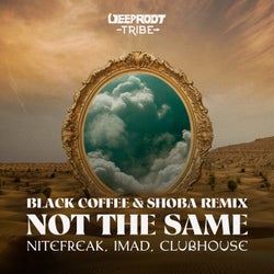 Not The Same - Black Coffee feat. Shoba Extended Remix