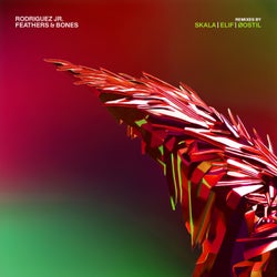 Feathers & Bones Remixes
