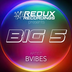 Redux Big 5 of Bvibes