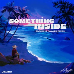 Something Inside (Blanche Palace Rework)