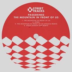The Mountain in Front Of Us