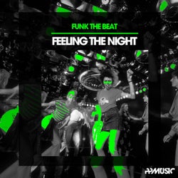 Feeling The Night