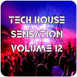 Tech House Sensation, Vol.12 (BEST SELECTION OF CLUBBING TECH HOUSE TRACKS)