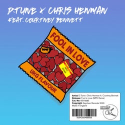 Fool In Love (MPH Extended Remix)