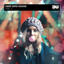 Deep Into House, Vol. 1